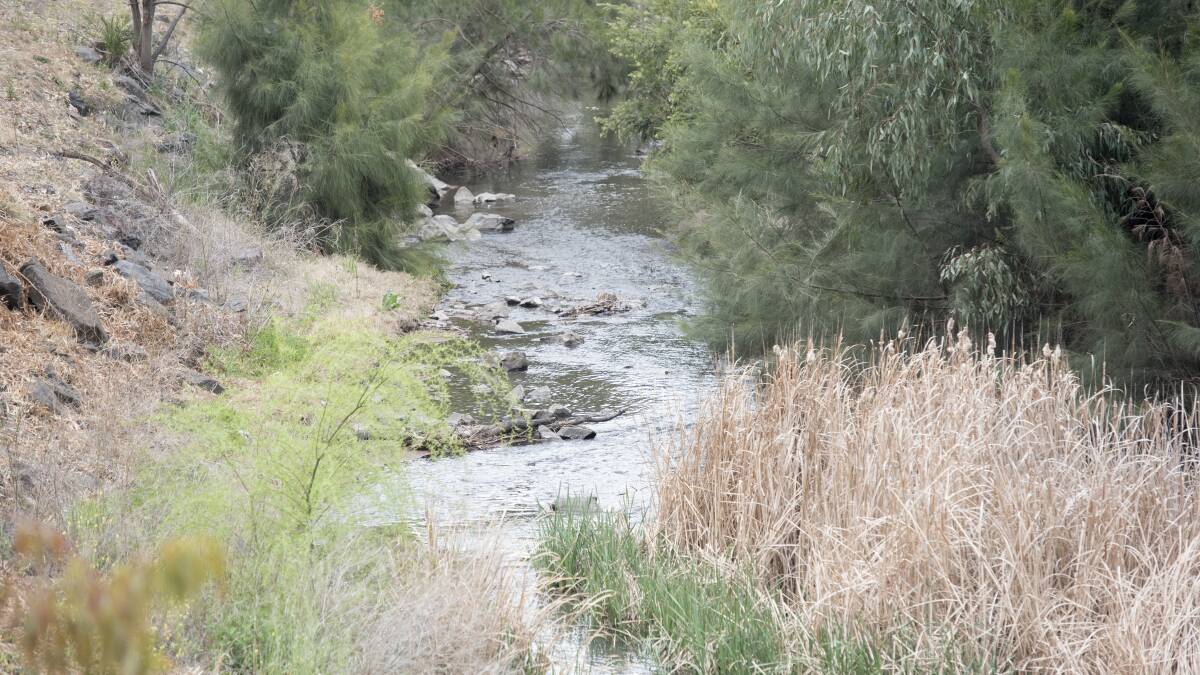 HAVE YOUR SAY: The state government is calling for feedback on the Peel and Namoi water sharing plans with reviews under way. Photo: Peter Hardin 180919PHC010