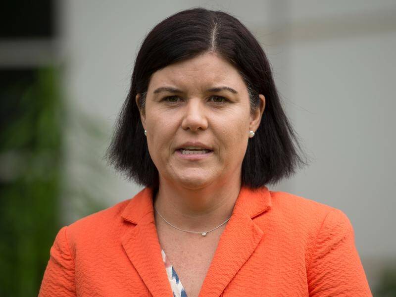 Late-stage abortions remain rare occurrences, Northern Territory Health Minister Natasha Fyles says.