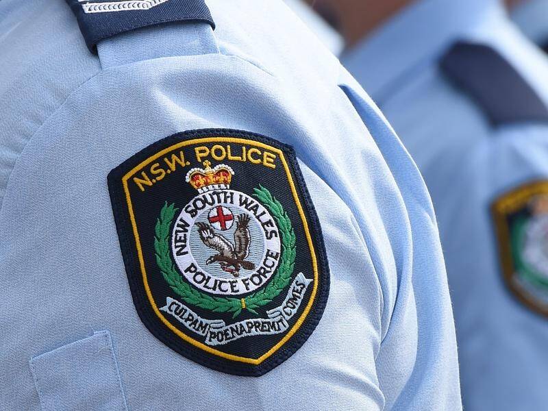 Senior Constable Jodi Anne Harmer has pleaded guilty to neglect of duty in a domestic violence case.
