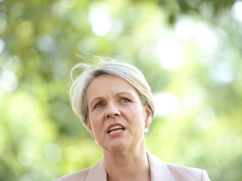 Labor's Tanya Plibersek has demanded her party lead the way on stamping out political corruption.