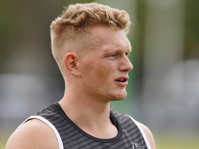 Adam Treloar is one of the players who has succumbed to injury since AFL training restarted.