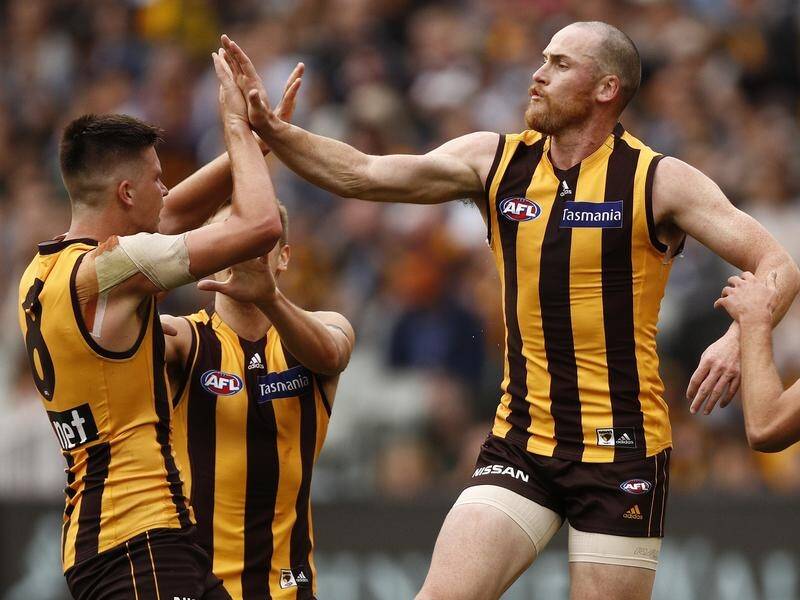 Hawthorn veteran Jarryd Roughead of the Hawks (right) congratulates young teammate Mitchell Lewis.
