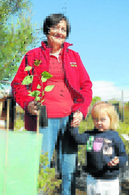 Helping hand: Mrs Haths Forest Nursery’s Janet Hathway with granddaughter Penny Gilbert and a bimblebox gum.