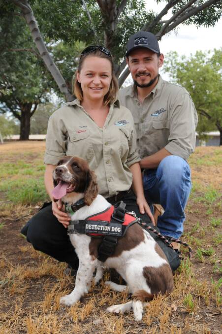 Helping save the koalas: OWAD Environment's Olivia Woosnam and Alex Dudkowski with Taz the koala detection dog.