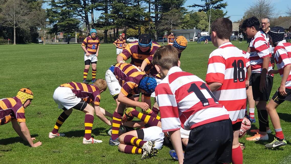 Kiwi tour: The 2019 Teys Australia Rugby Union tourists met stiff opposition on their tour of New Zealand.