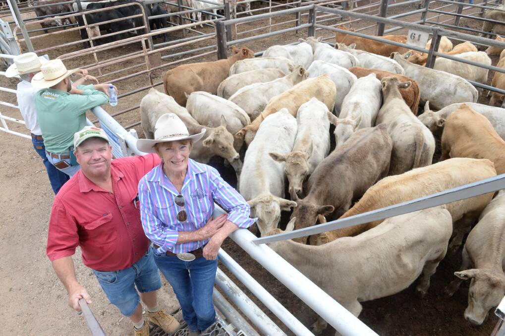 Rod and Wendy Williams, Loloma, Coolah, with cattle they sold at the Gunnedah weaner sale last week.