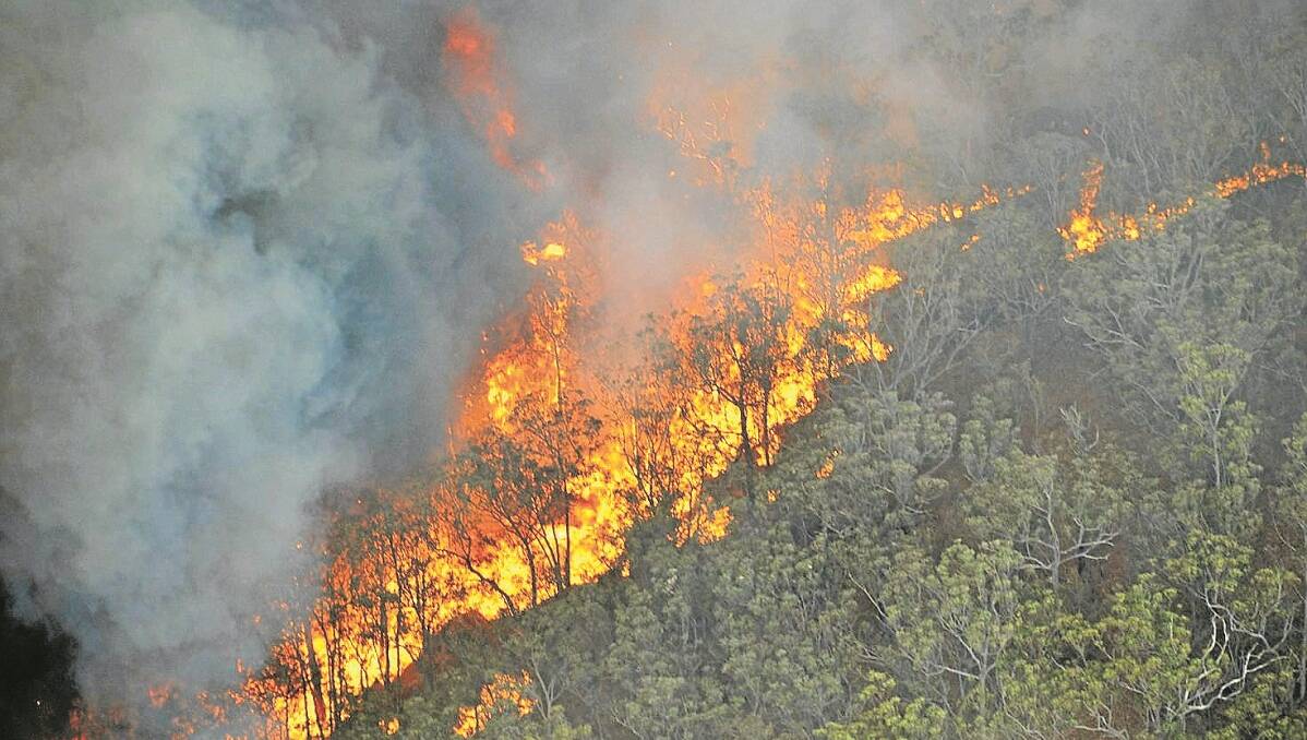 This photo of the Macleay River Fire was taken by Rural Fire Service (RFS) volunteer Sean Bremmer on Saturday when all the RFS could do was help landowners protect their property.